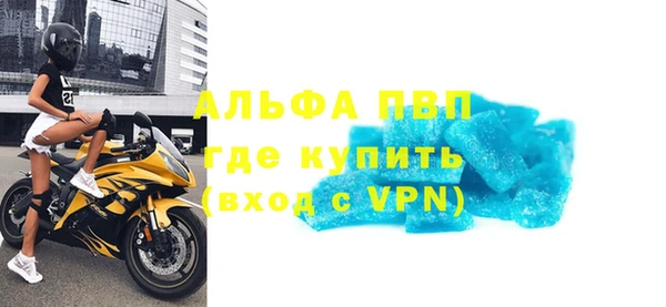 ГАЛЛЮЦИНОГЕННЫЕ ГРИБЫ Осинники
