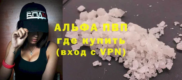ГАЛЛЮЦИНОГЕННЫЕ ГРИБЫ Осинники