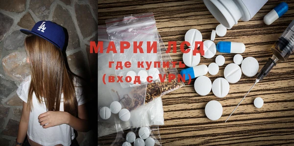 ГАЛЛЮЦИНОГЕННЫЕ ГРИБЫ Осинники