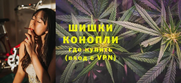 ГАЛЛЮЦИНОГЕННЫЕ ГРИБЫ Осинники