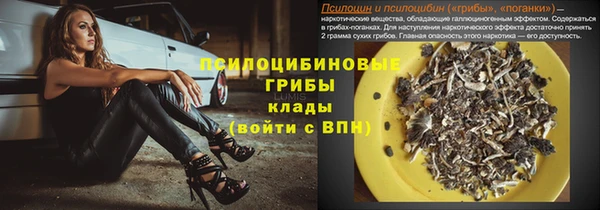 ГАЛЛЮЦИНОГЕННЫЕ ГРИБЫ Осинники