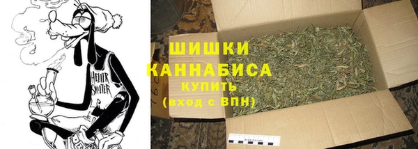 ГАЛЛЮЦИНОГЕННЫЕ ГРИБЫ Осинники