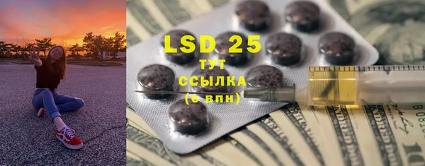 ГАЛЛЮЦИНОГЕННЫЕ ГРИБЫ Осинники