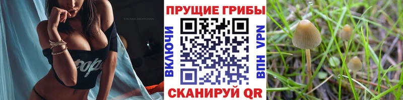 Псилоцибиновые грибы мухоморы Балей