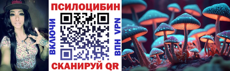 купить наркотик  Балей  Псилоцибиновые грибы мухоморы 